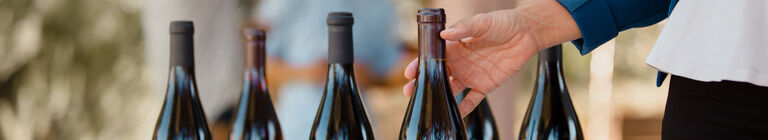Wine Bottles 