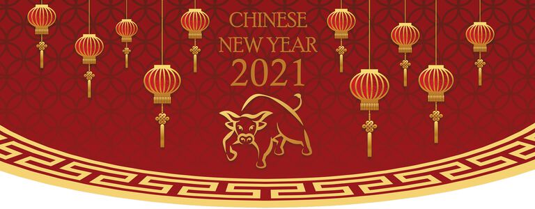 Chinese New Year Banner