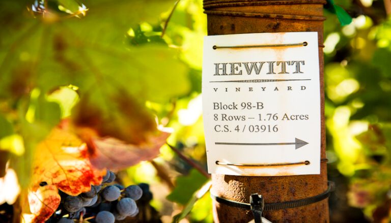 Hewitt Vineyard Row - Block 98 B