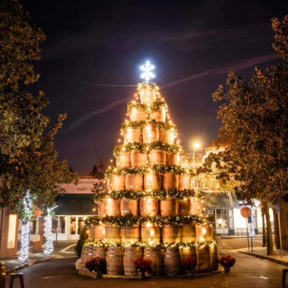 St. Helena Beringer Barrel Tree