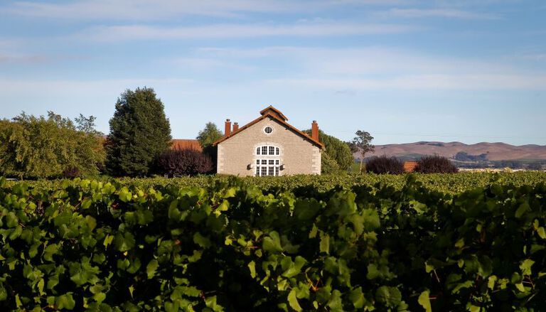 Etude Winery in Carneros