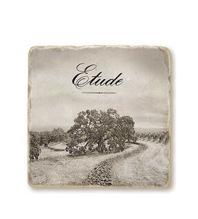 Etude Stone Coaster